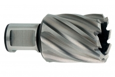 Фреза HSS Metabo 13x 30 мм, хвостовик 19 мм 626501000 Фреза HSS Metabo 13x 30 мм, хвостовик 19 мм 626501000
