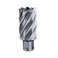 Фреза HM Metabo 16x 55 мм, хвостовик Weldon 19 мм для Mag 32/50 626573000 Фреза HM Metabo 16x 55 мм, хвостовик Weldon 19 мм для Mag 32/50 626573000